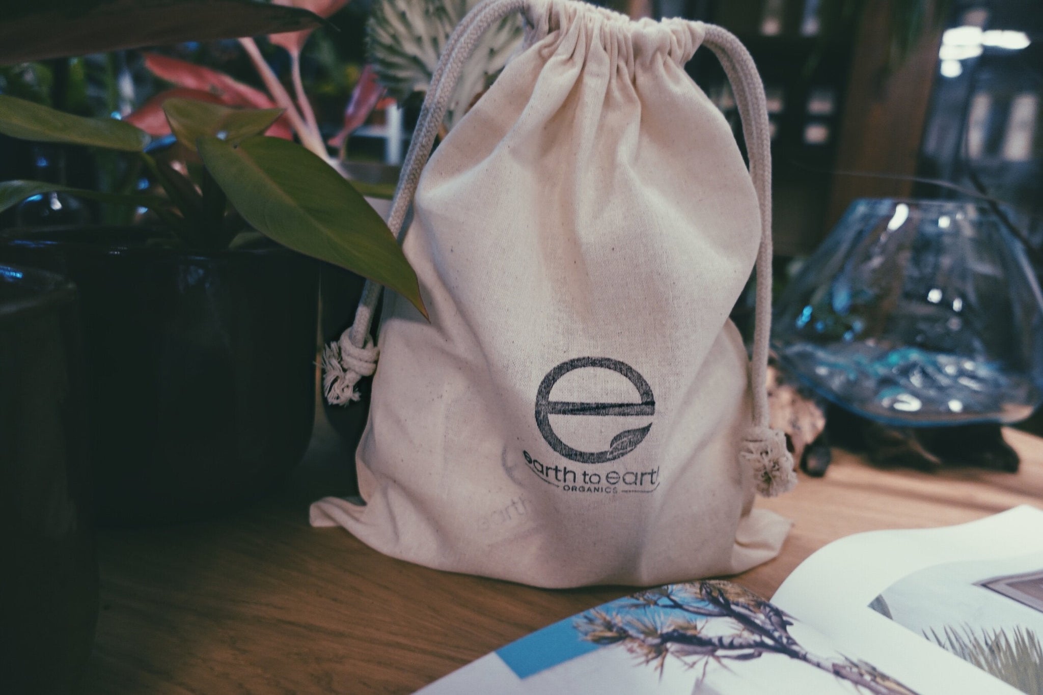 Organic  Dry Skin Care Bundle